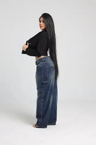 Anisa